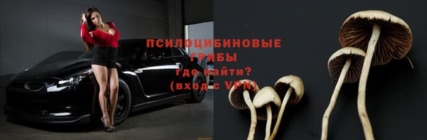 дурь Нязепетровск