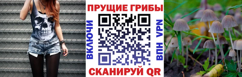 Галлюциногенные грибы ЛСД Яровое